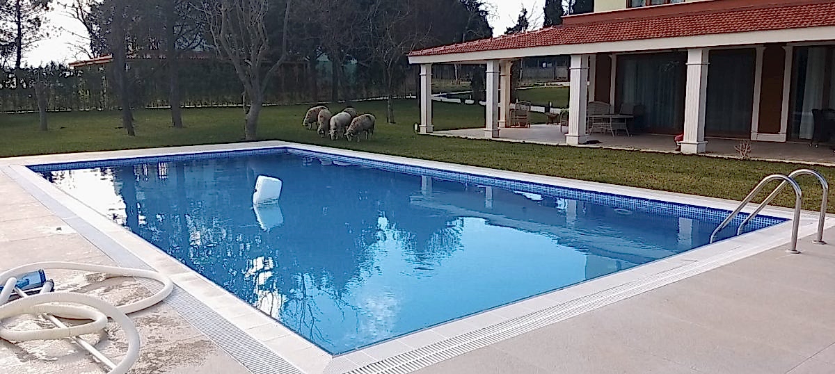Çatalca Kestaneköy Projesi̇